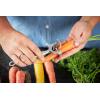 Rösle Stainless Steel 1.5-inch Wide Crosswise Swivel Peeler(Swivel Peeler Replacement)