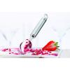 Rösle Stainless Steel 8-inch Ice Cream Scoop (12741)
