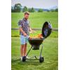 Rösle Stainless Steel Barbecue Chicken Roaster(Stainless Steel)