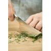 Rösle Stainless Steel Oyster Knife, 6.6-inch(Herb)