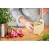 Rösle Stainless Steel Sturdy Cheese Plane, 9.5-inch